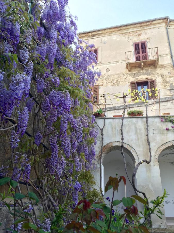 Palazzo De Fabritiis Bed & Breakfast Rosciano  Bagian luar foto